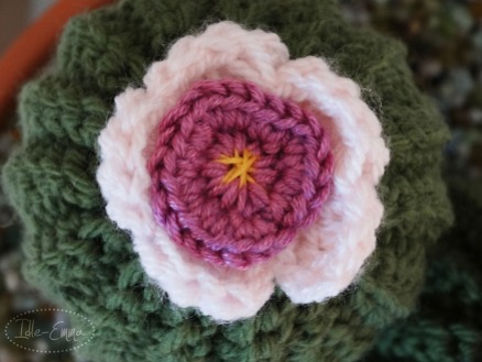 photo-crochet-cactus-1