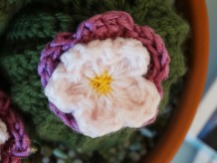 photo-crochet-cactus-2