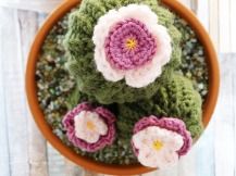photo-crochet-cactus-3