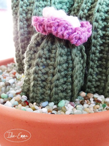 photo-crochet-cactus-4