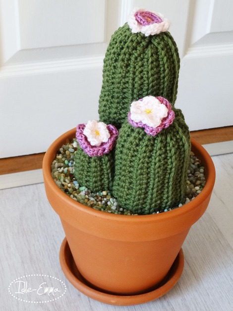 photo-crochet-cactus-5