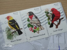 Photo - April 2017 Incoming - Stamps (3)