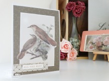 Photo - July Sepia Paper Pack (15)